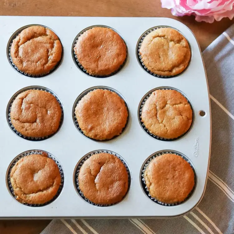 SCD Frosted Peanut Butter Cupcakes