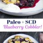 blueberry cobbler, paleo +scd