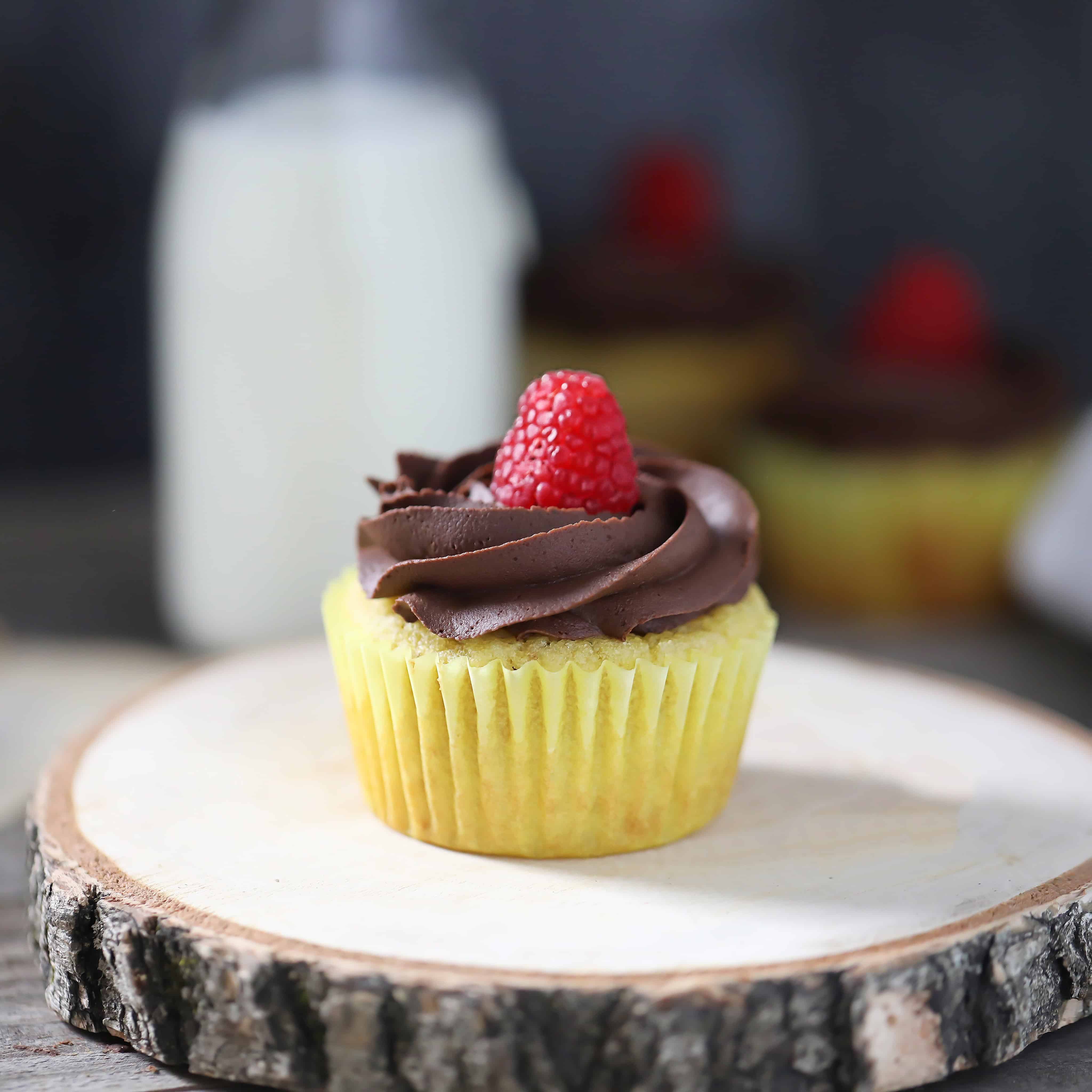 Low-Carb Yellow Cupcakes with Chocolate Frosting
