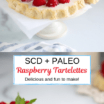 SCD + Paleo Tarts