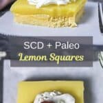 SCD Lemon Square Recipe Pin
