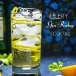Celery Gin Rickey Pinterest Pin
