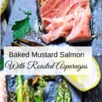 Salmon + Asparagus Pin