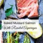 Salmon + Asparagus Pin
