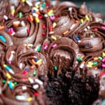 Gluten-Free Microwave Cake Funfetti