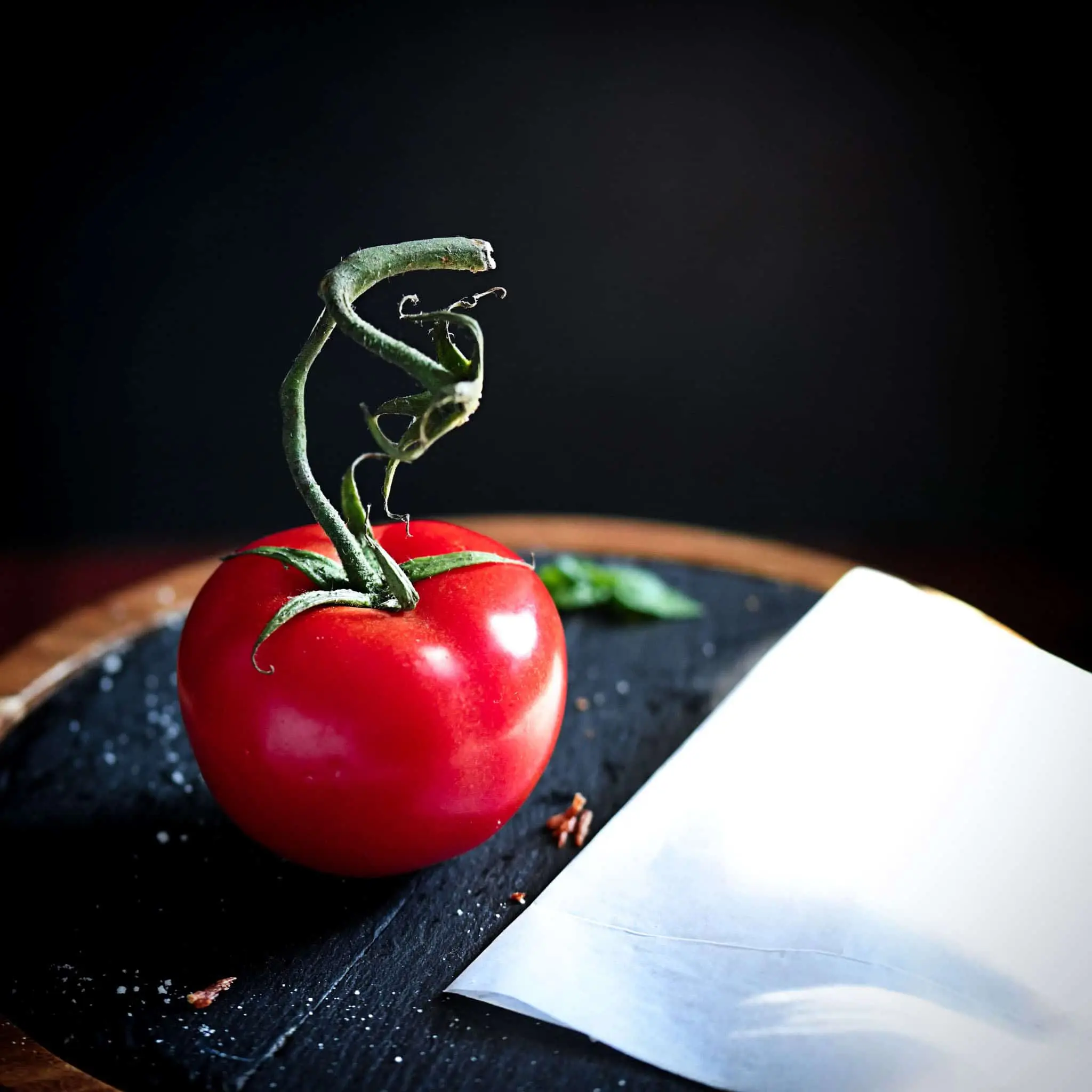 tomato on the vine