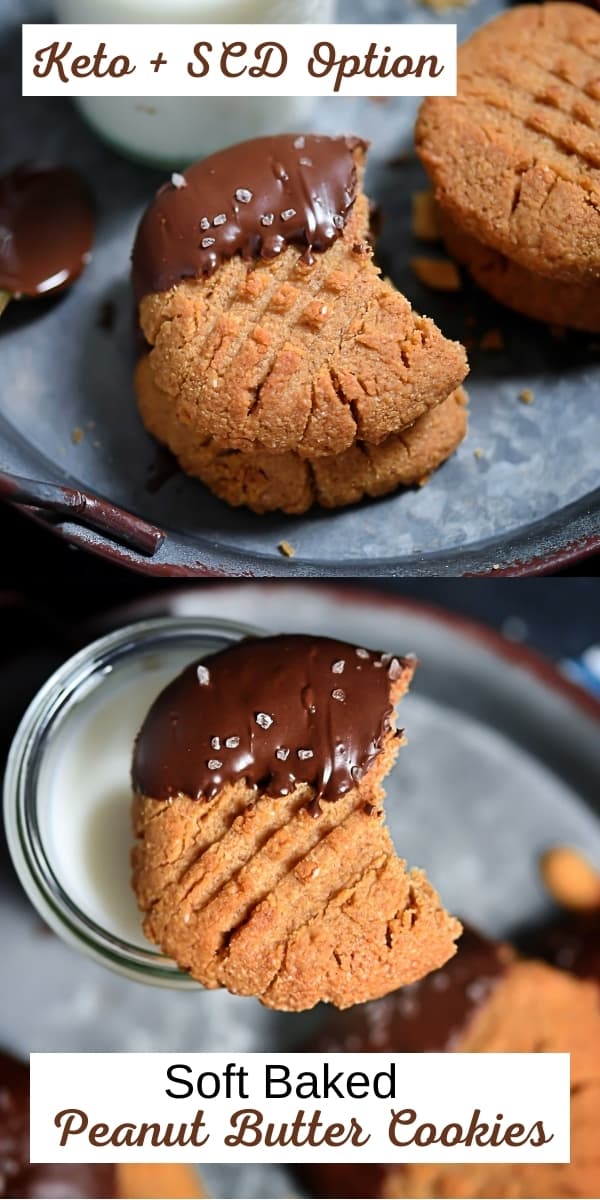 Sugar-Free Soft Baked Peanut Butter Cookies In Chocolate, Specific Carbohydrate Diet Option