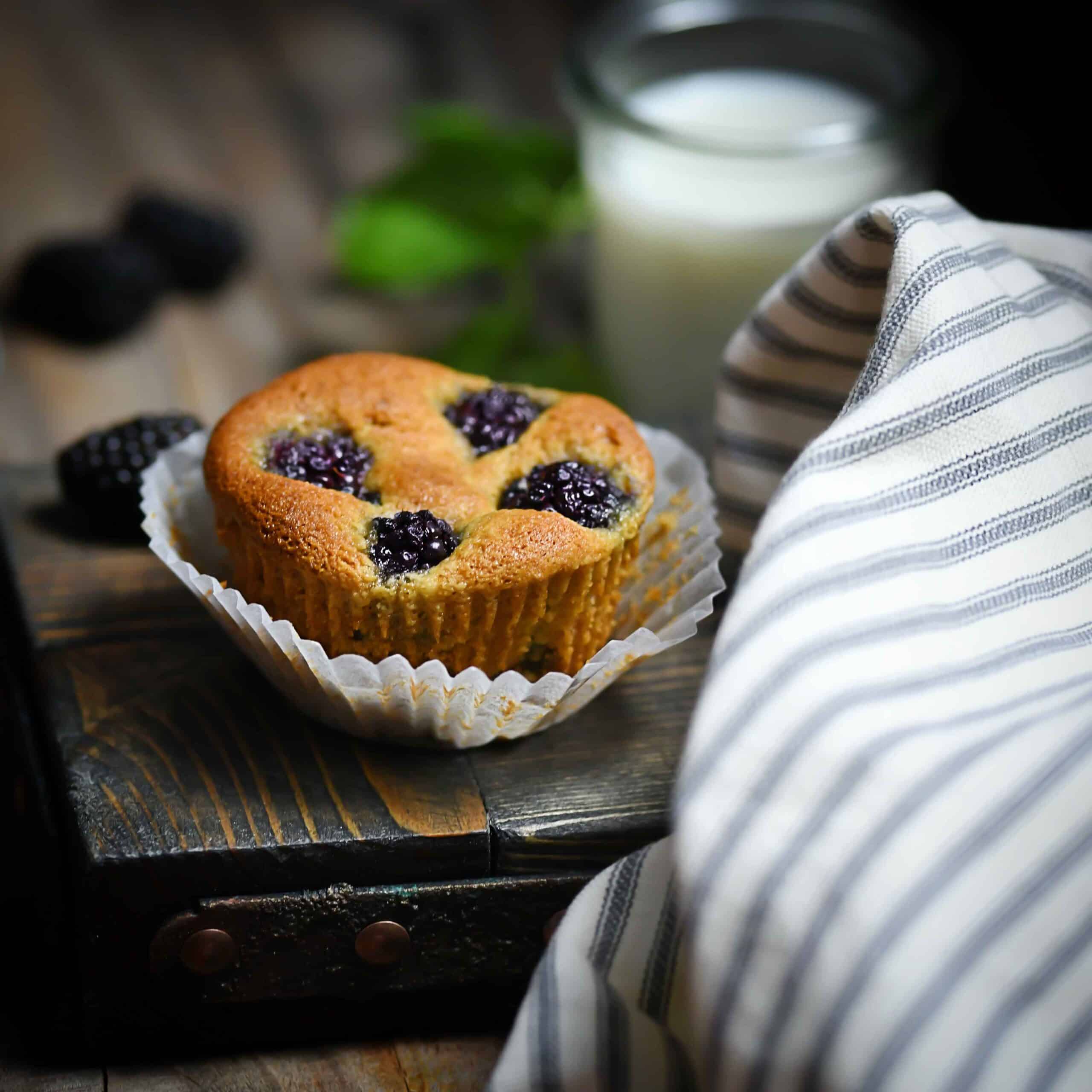 Fruity Breakfast Muffin