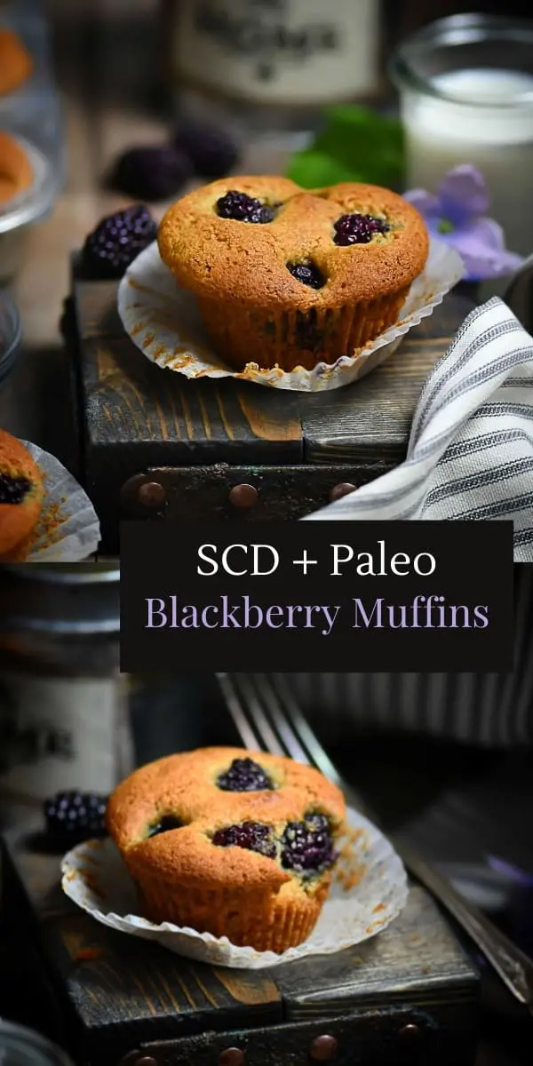 SCD Blackberry Muffin Pin