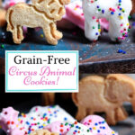 Grain-Free Animal Cookie Pin